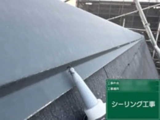屋根塗装 - 釘抜け防止シーリング