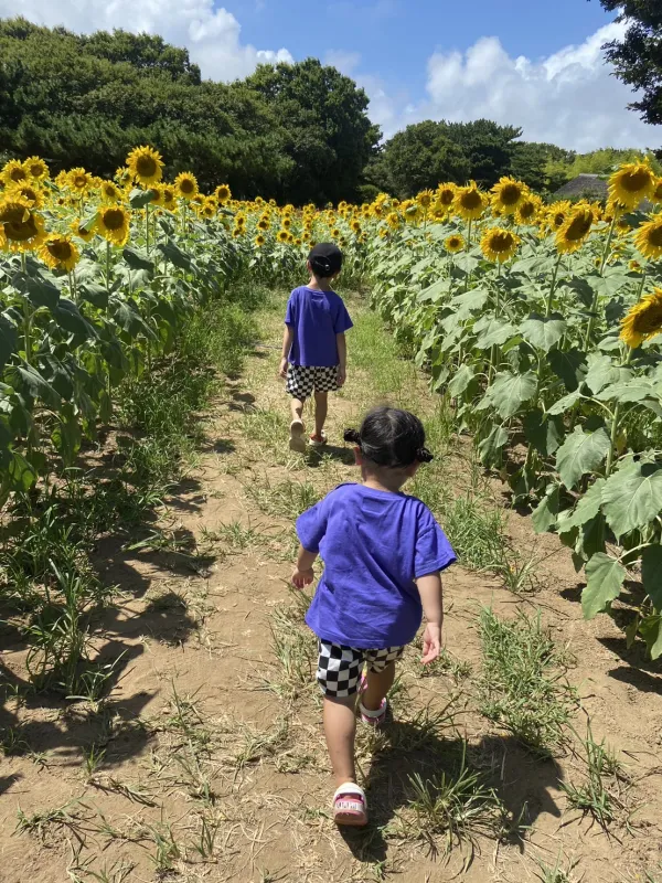 夏の思い出