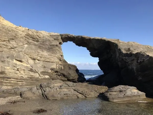 春の城ヶ島へ