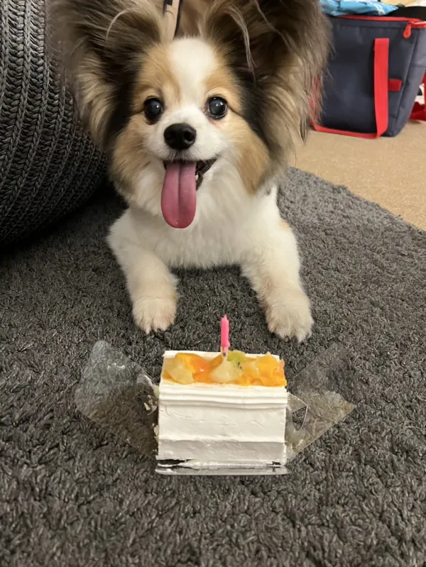 誕生日旅行